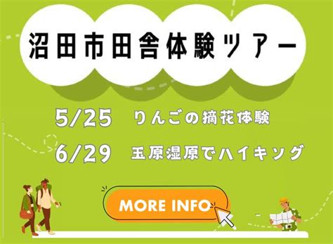 【2024年最新】沼田市のデリヘル・風俗のおすすめ店！｜WEB 